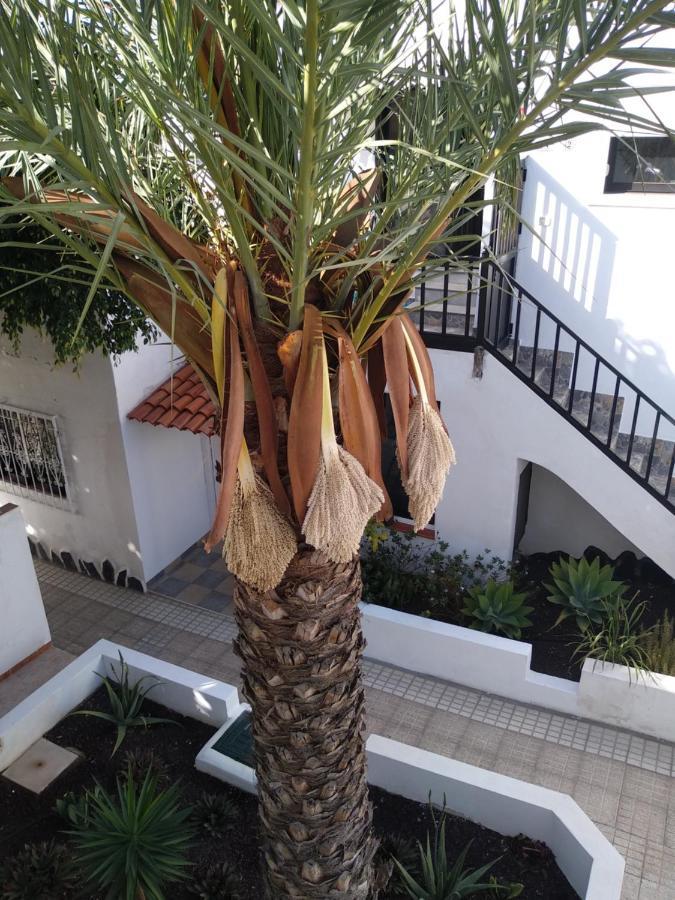 Apartamento Ama Tenerife Grande Terraza Arona  Dış mekan fotoğraf